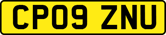 CP09ZNU