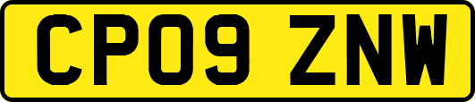 CP09ZNW