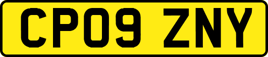 CP09ZNY