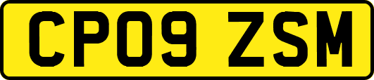 CP09ZSM