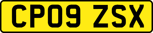 CP09ZSX