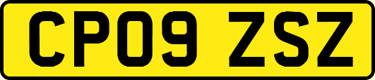 CP09ZSZ