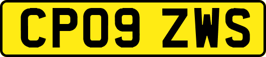 CP09ZWS