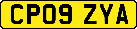 CP09ZYA