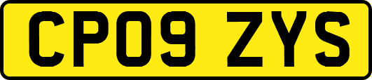 CP09ZYS