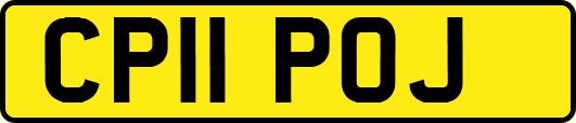 CP11POJ