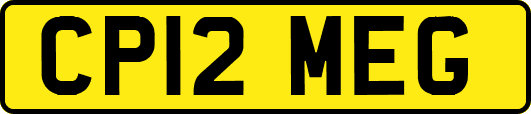 CP12MEG