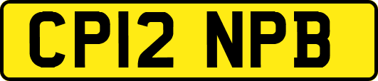 CP12NPB