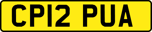 CP12PUA