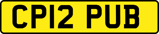 CP12PUB