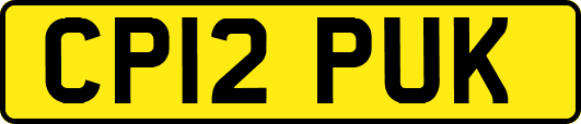 CP12PUK