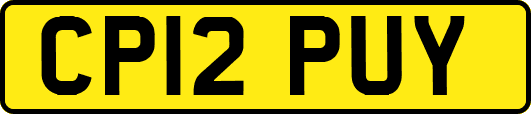 CP12PUY