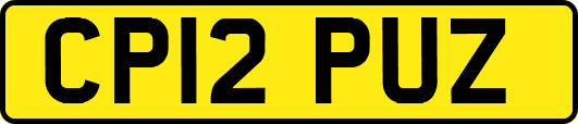 CP12PUZ