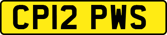 CP12PWS