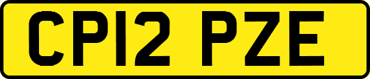 CP12PZE