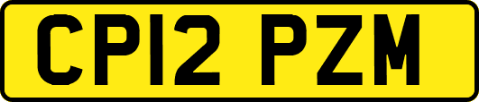 CP12PZM