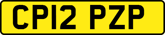 CP12PZP