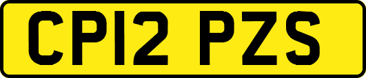 CP12PZS