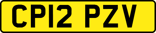 CP12PZV