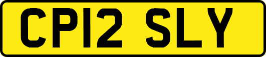 CP12SLY