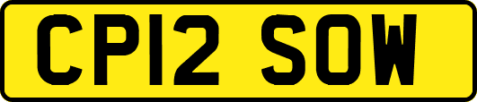 CP12SOW