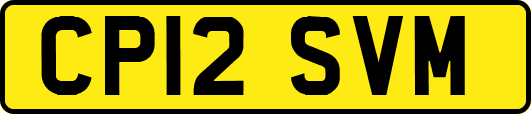 CP12SVM