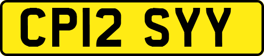 CP12SYY
