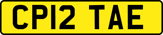 CP12TAE