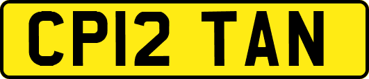 CP12TAN