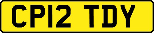 CP12TDY