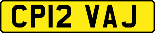 CP12VAJ