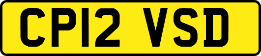 CP12VSD