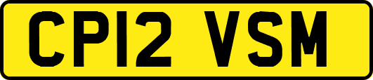 CP12VSM