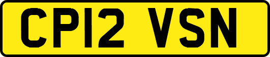CP12VSN