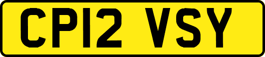 CP12VSY