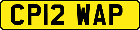 CP12WAP