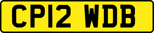 CP12WDB