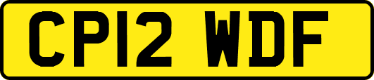 CP12WDF