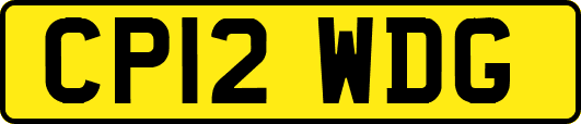 CP12WDG