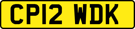 CP12WDK