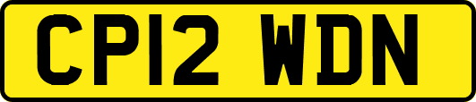 CP12WDN