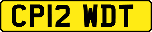 CP12WDT