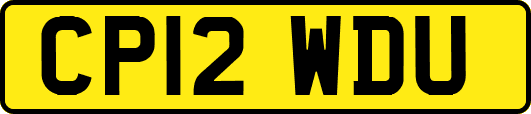 CP12WDU
