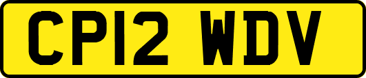 CP12WDV