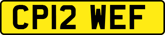 CP12WEF