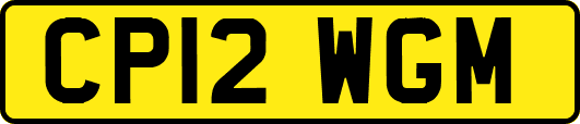 CP12WGM