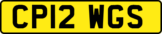 CP12WGS