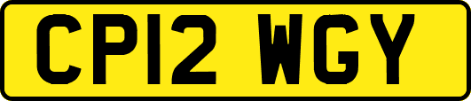 CP12WGY