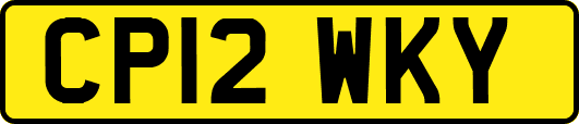 CP12WKY