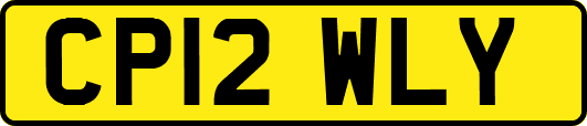CP12WLY